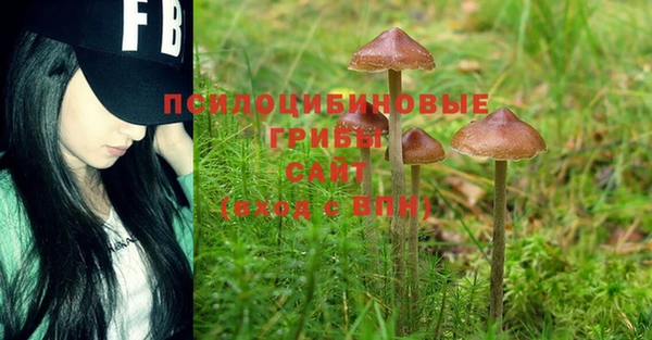 mdma Дмитровск